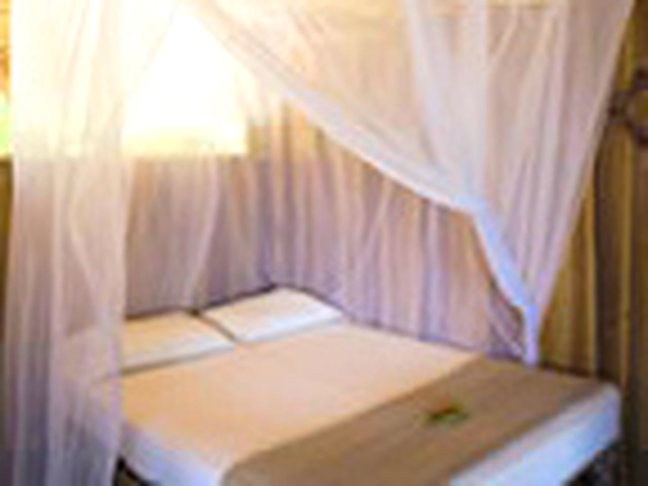 Luxury Beach Hut for a Glamping Getaway in Bocas del Toro, Panama