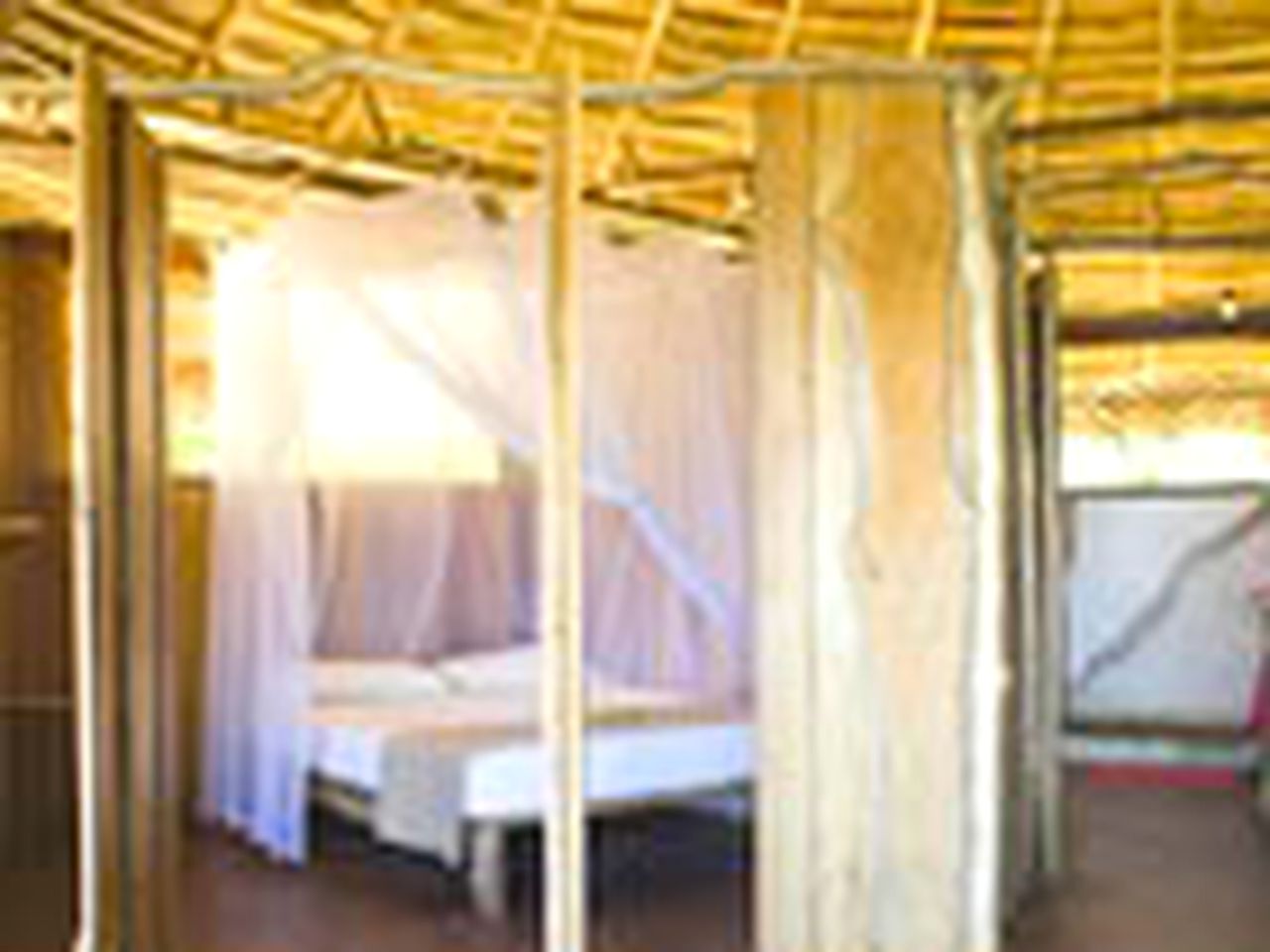 Luxury Beach Hut for a Glamping Getaway in Bocas del Toro, Panama