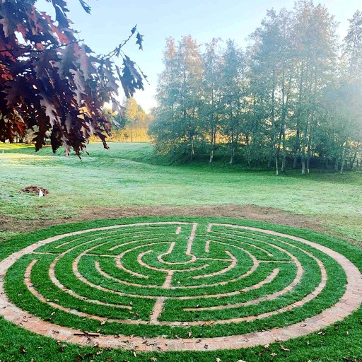 Cottages (Hamilton, North Island, New Zealand)