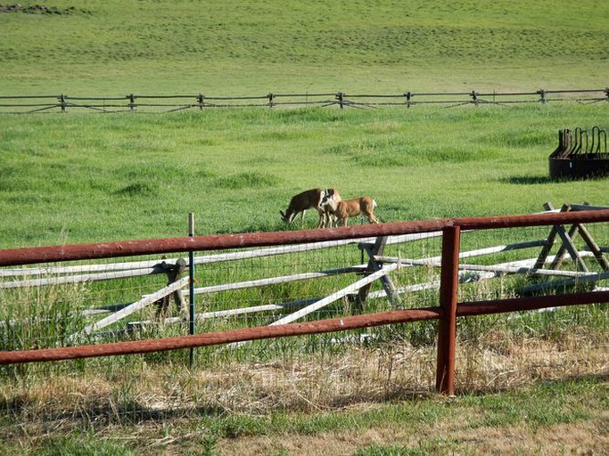 Nature Lodges (Meeteetse, Wyoming, United States)