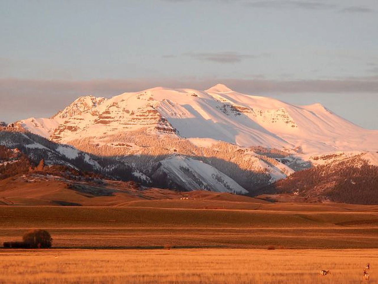 Cozy Accommodation with Breakfast Included in Meeteetse, Wyoming