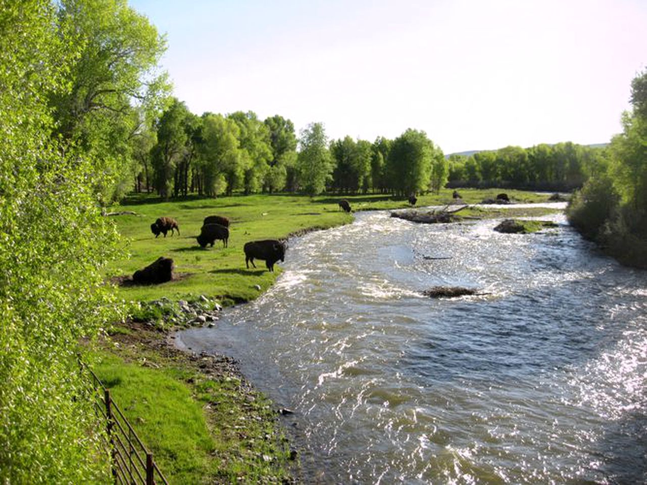 Cozy Accommodation with Breakfast Included in Meeteetse, Wyoming