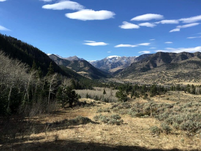 Nature Lodges (Meeteetse, Wyoming, United States)