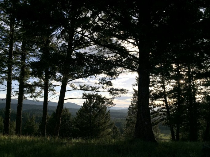 Cabins (Eureka, Montana, United States)