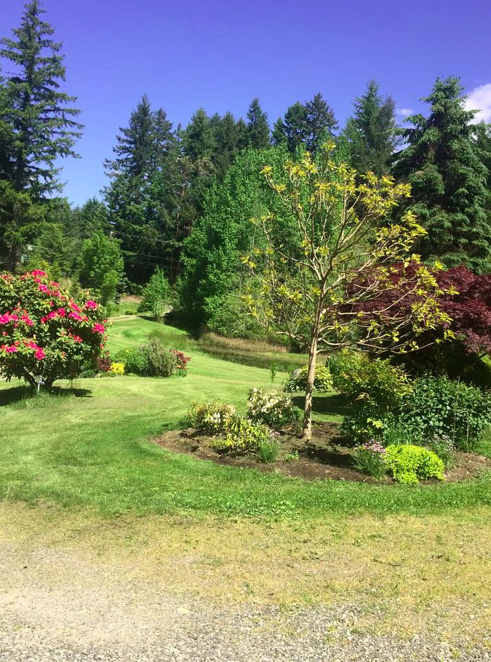 Private Yurt is the Perfect Place for a Washington Getaway