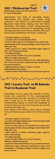 Incredible Safari Tent with Breathtaking Views in Kings Mounatin, California | Safari Tents (Redwood City, California, United States of America)