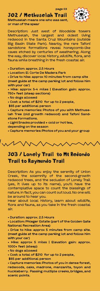 Incredible Safari Tent with Breathtaking Views in Kings Mounatin, California