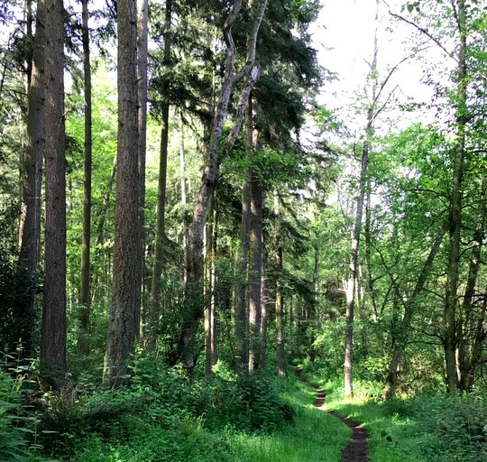 Spacious Bed and Breakfast Suite on Horse Farm for Unique Getaway in Oak Harbor, Washington | Cabins (Oak Harbor, Washington, United States of America