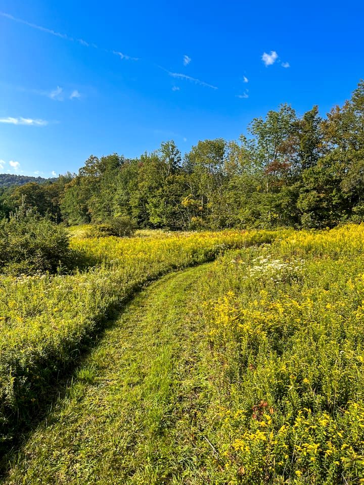 Charming Countryside Escape with Forest Trails & Cozy Comfort in Walton, New York