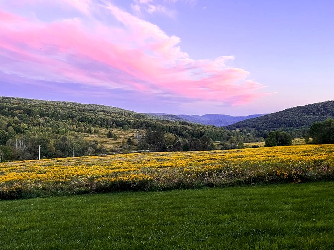 Vacation Rentals (United States of America, Walton, New York)