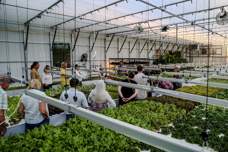 Bell Tents (United States of America, Sandpoint, Idaho)