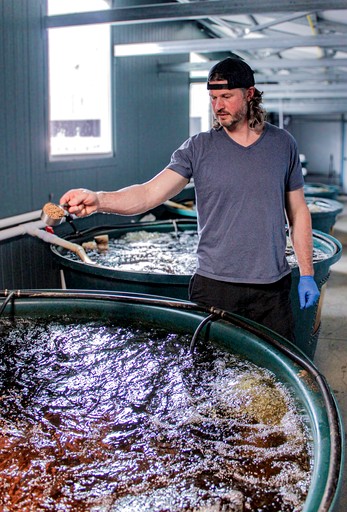 Bell Tents (United States of America, Sandpoint, Idaho)