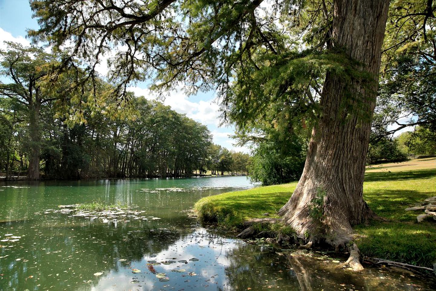 1800's Antique Log Cabin with Modern Amenities near Fredericksburg and Kerrville, Texas