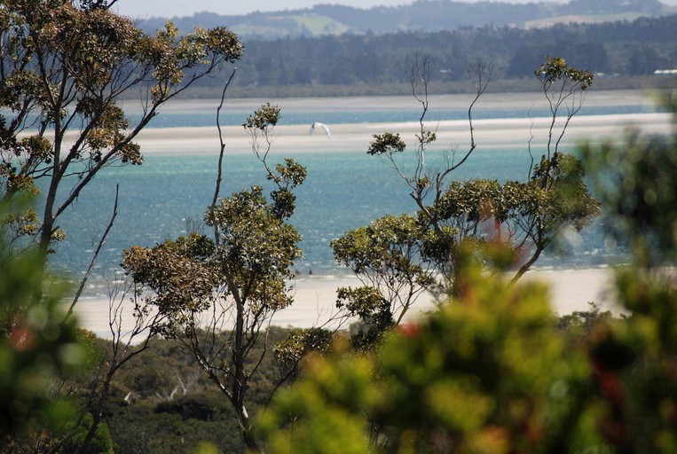 Bell Tents (Kaitaia, North Island, New Zealand)