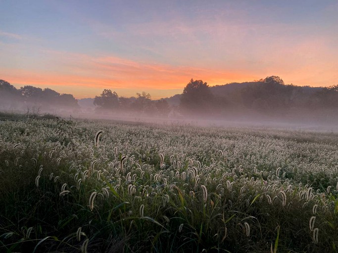Charming Farmhouse Retreat, Cabins, Hartsburg, United States of America