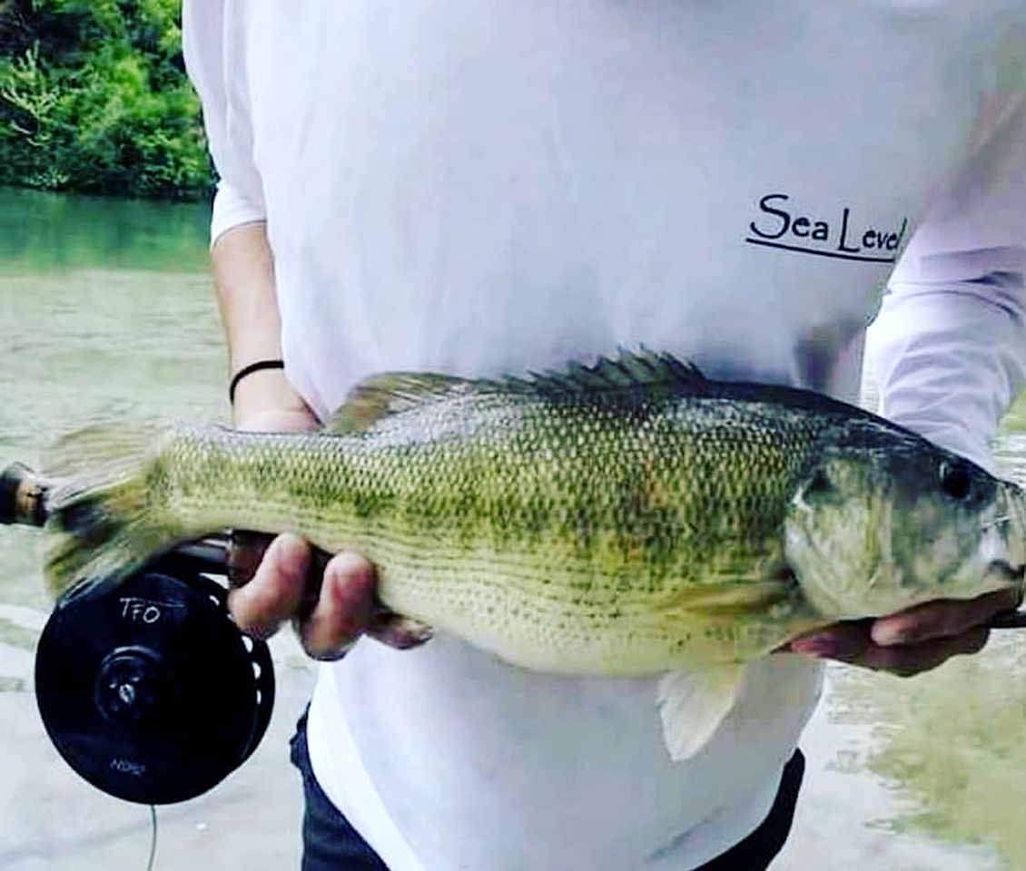 Unplug and Reconnect with Nature in this Lovely Safari Tent Rental on San Marcos River, Texas