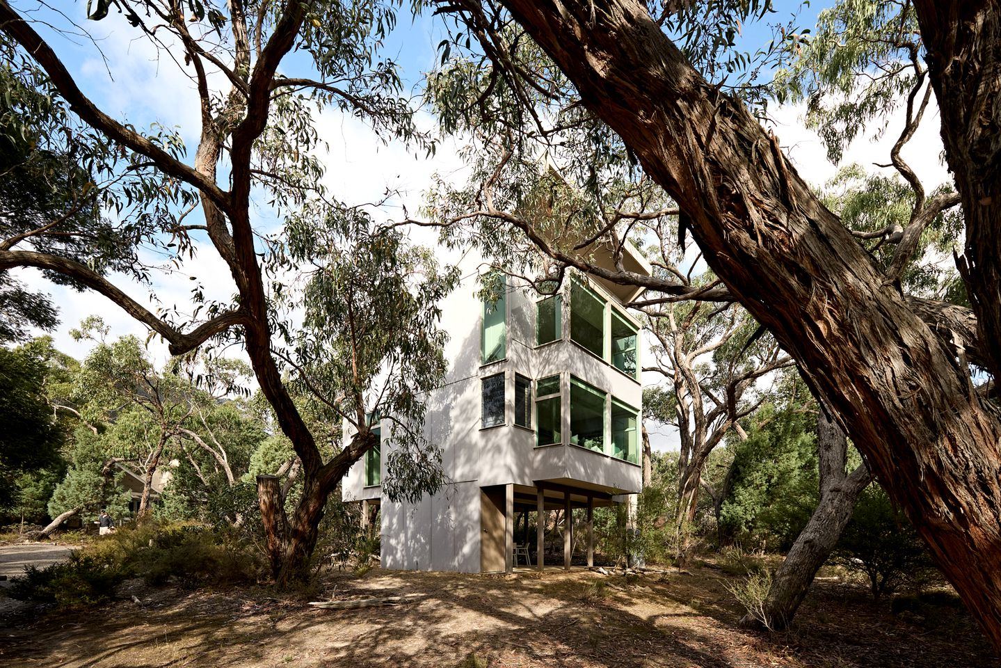 Contemporary Eco-Friendly Tree Houses near Grampians National Park in Victoria