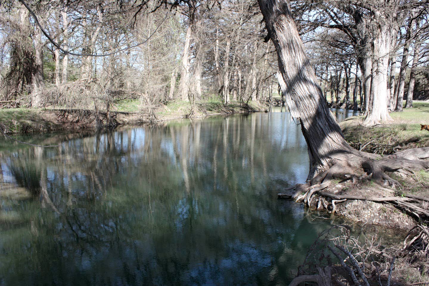 Gorgeous Medina River Cabin with a Spacious Deck Ideal for Vacations in Texas