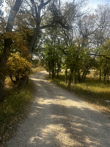 Cabins (United States of America, Sturgis, South Dakota)