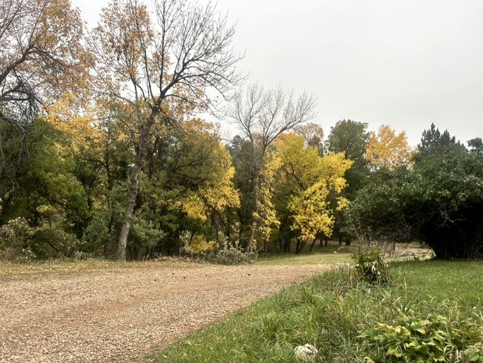 Cabins (United States of America, Sturgis, South Dakota)