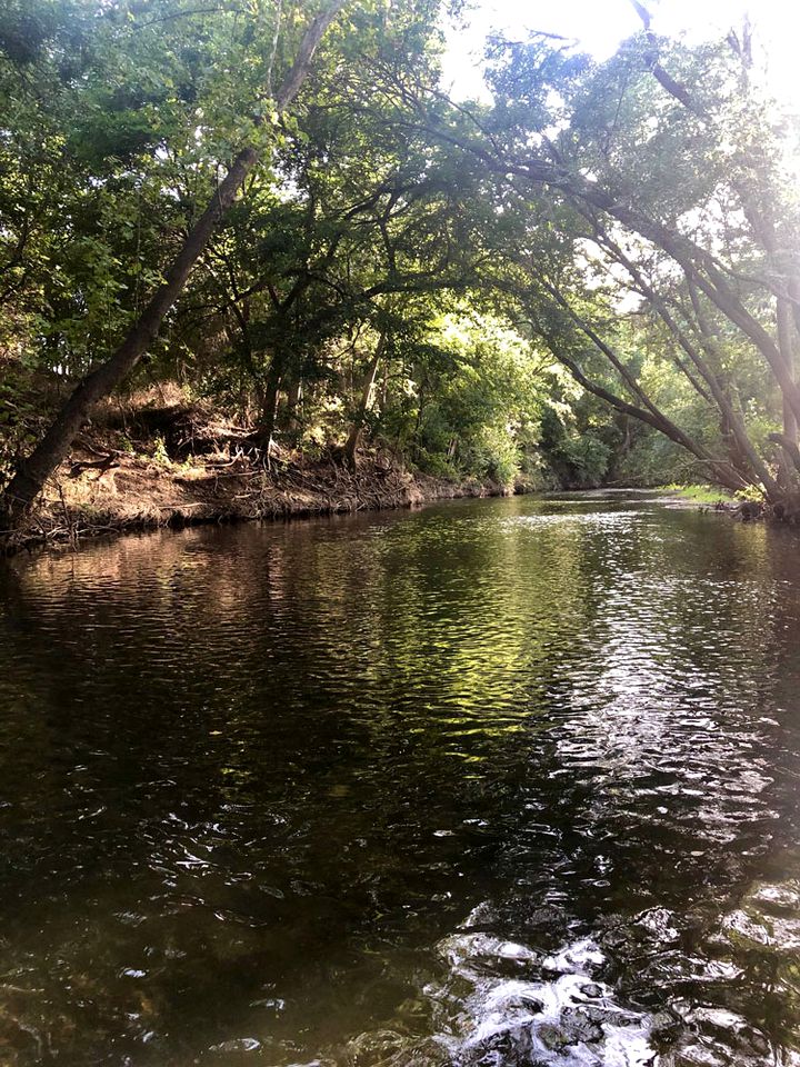 Modern Tiny House Rental Perfect for Glamping near Austin