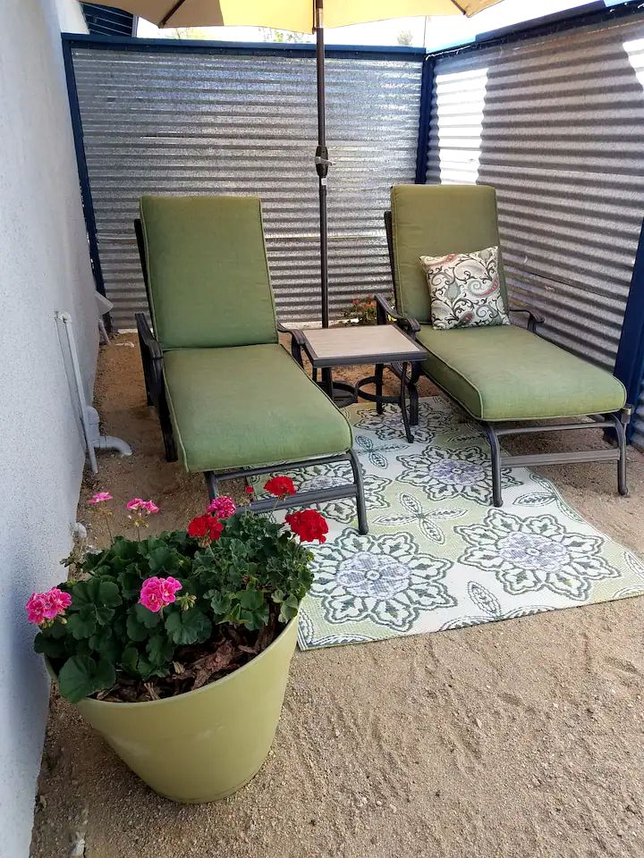 The Joshua Tree Desert Duo in California
