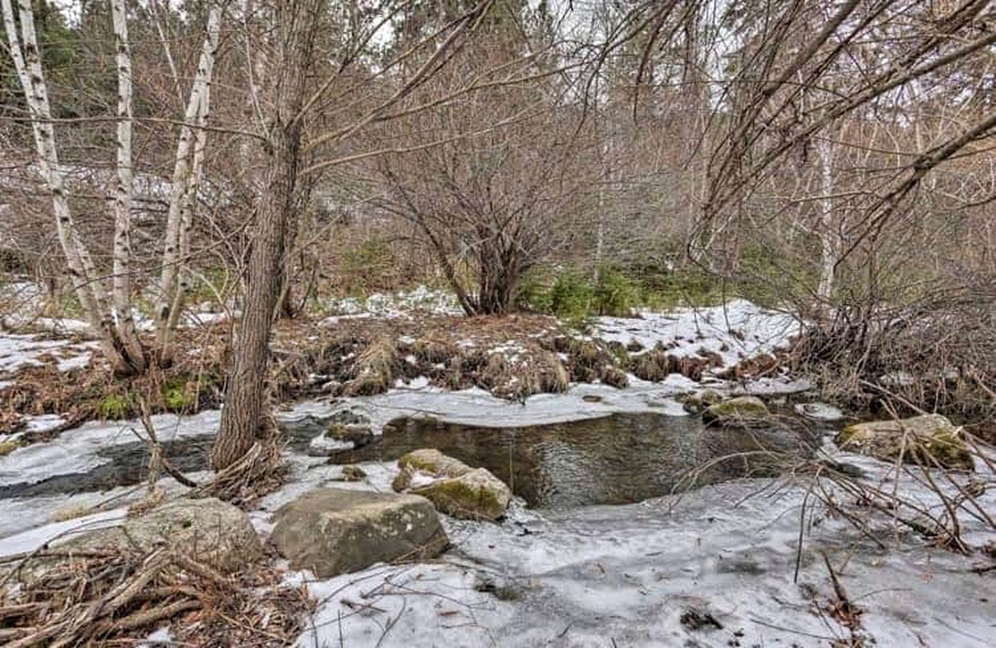 Lush Creekside Vacation Rental Haven near Mount Rushmore in South Dakota