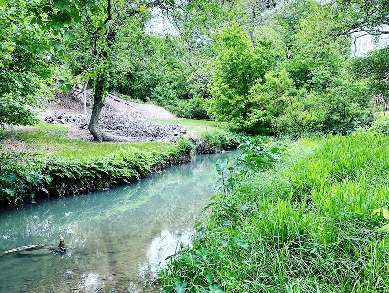 Exciting Glamping Getaway: Comfortable Tented Cabin on the Geronimo Creek in Seguin, Texas