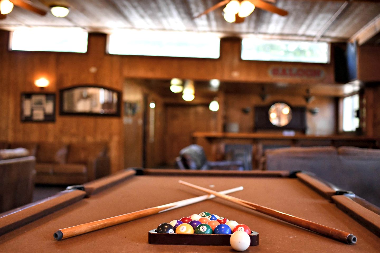 Safari Tent Glamping Dreams Come True: Stay in Cibolo, Texas