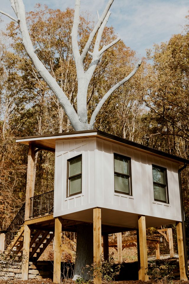 Lofted Romantic Tree House Immersed in Nature in Alabama