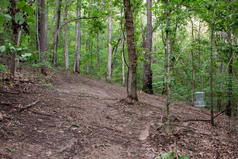Tree Houses (United States of America, Scottsboro, Alabama)