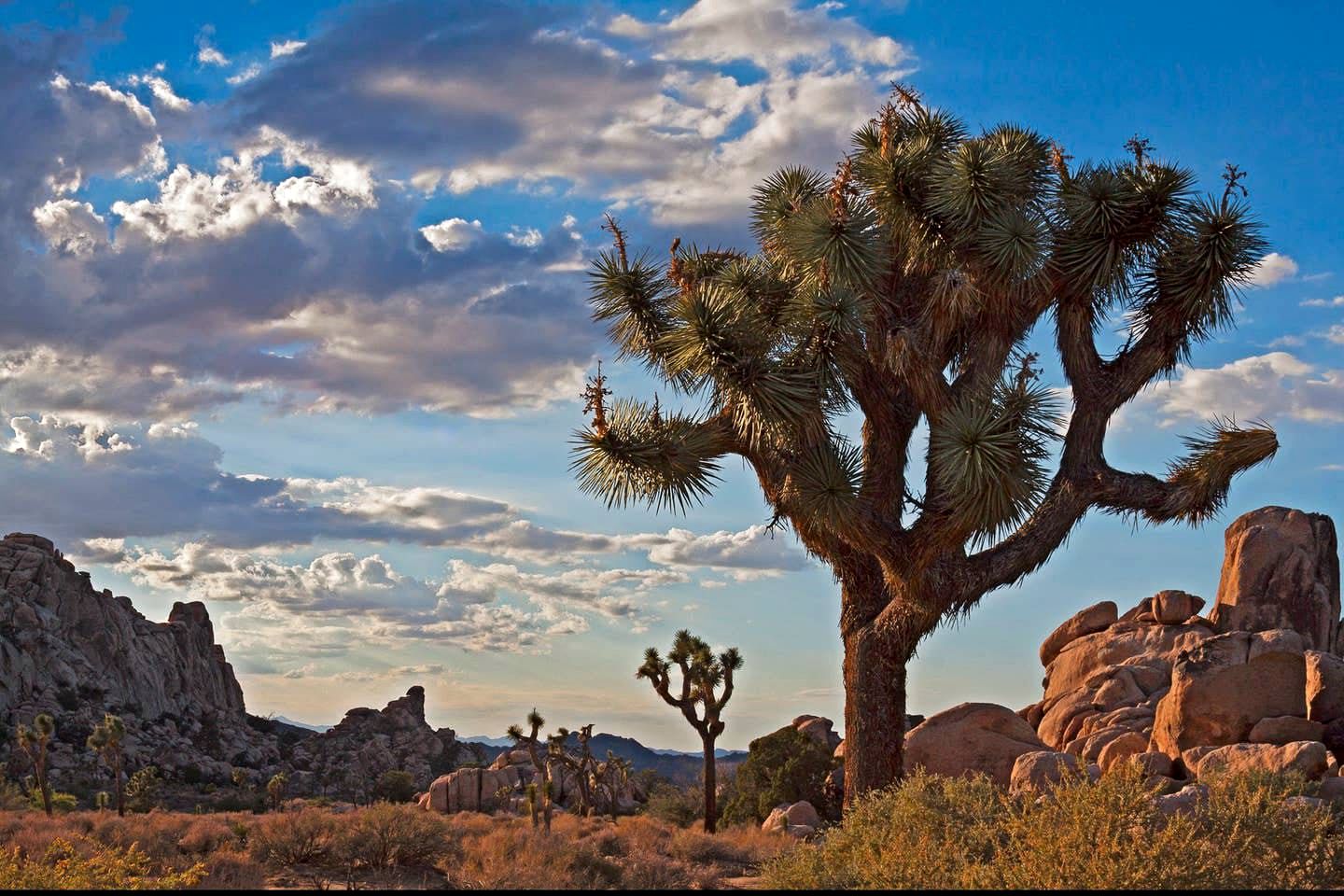 Secluded Twentynine Palms Accommodation for Glamping in California