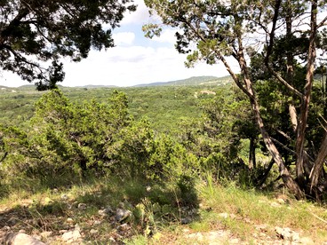 undefined photo 2