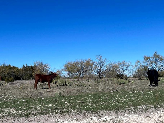 Dome Sweet Dome, Domes, Lampasas, United States of America Glamping Hub