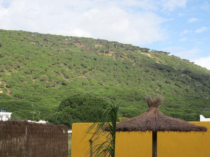 Cottages (Los Caños de Meca, Andalusia, Spain)