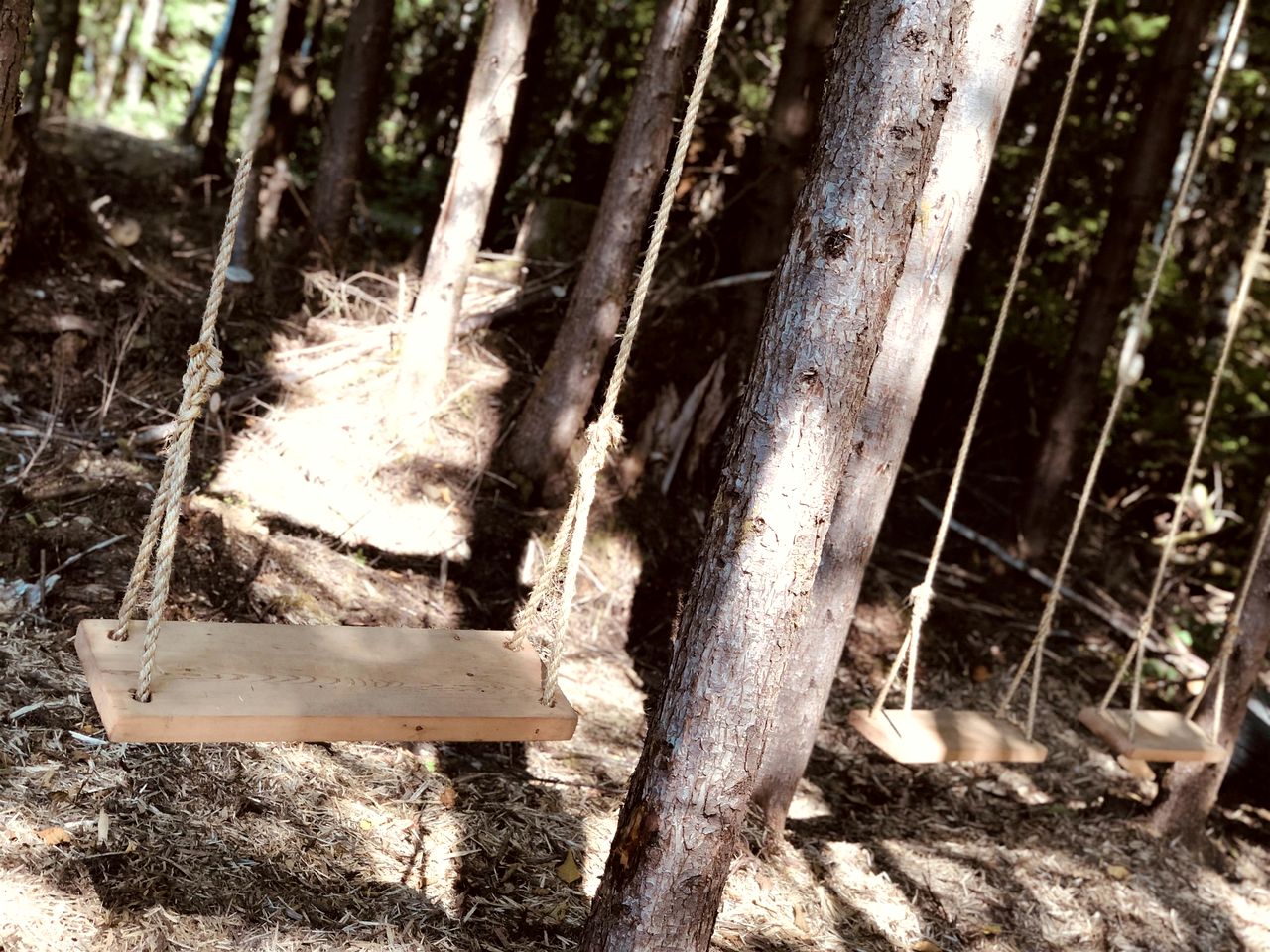 Relaxing Safari Tent for an Incredible Outdoor Glamping Getaway near Forks, Washington