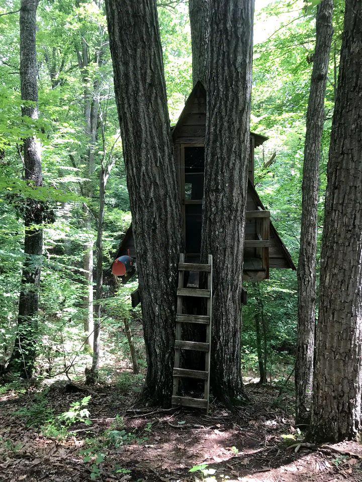 Secluded Getaway Spot in a Quiet Forest for Camping near Charlottesville, VA