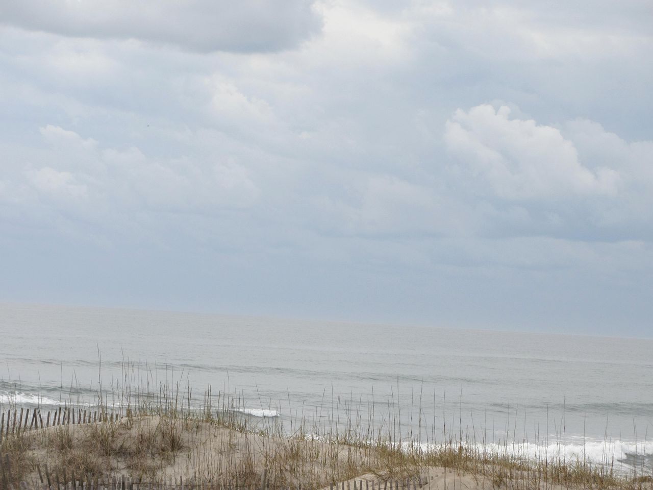 Pet Friendly Oceanfront Rental in Dare County, North Carolina