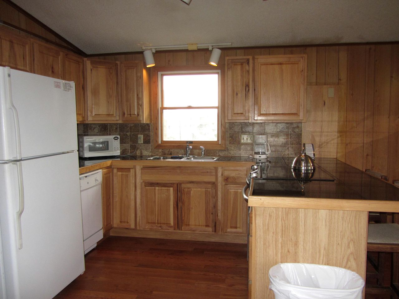 Pet Friendly Oceanfront Rental in Dare County, North Carolina