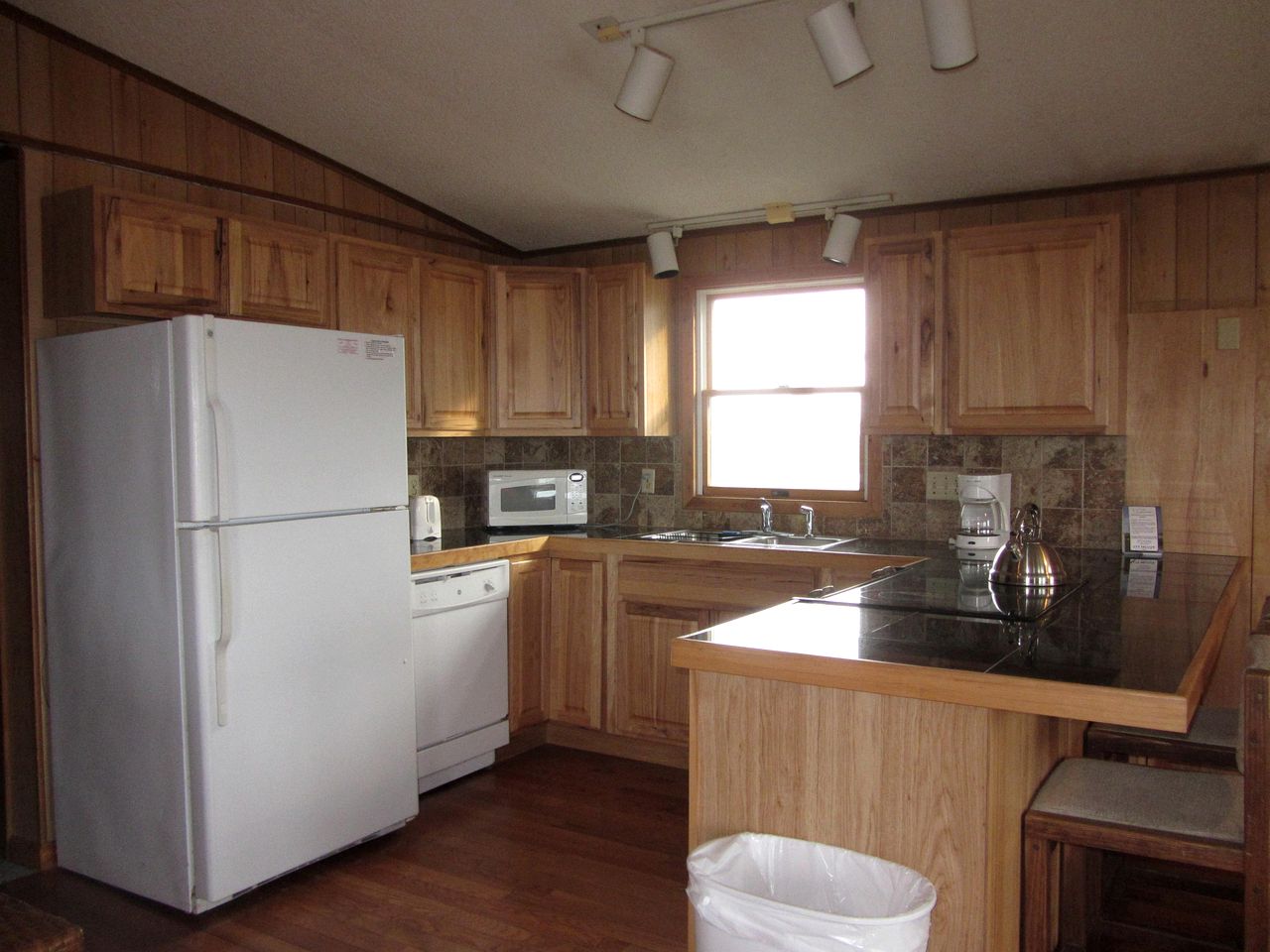 Pet Friendly Oceanfront Rental in Dare County, North Carolina