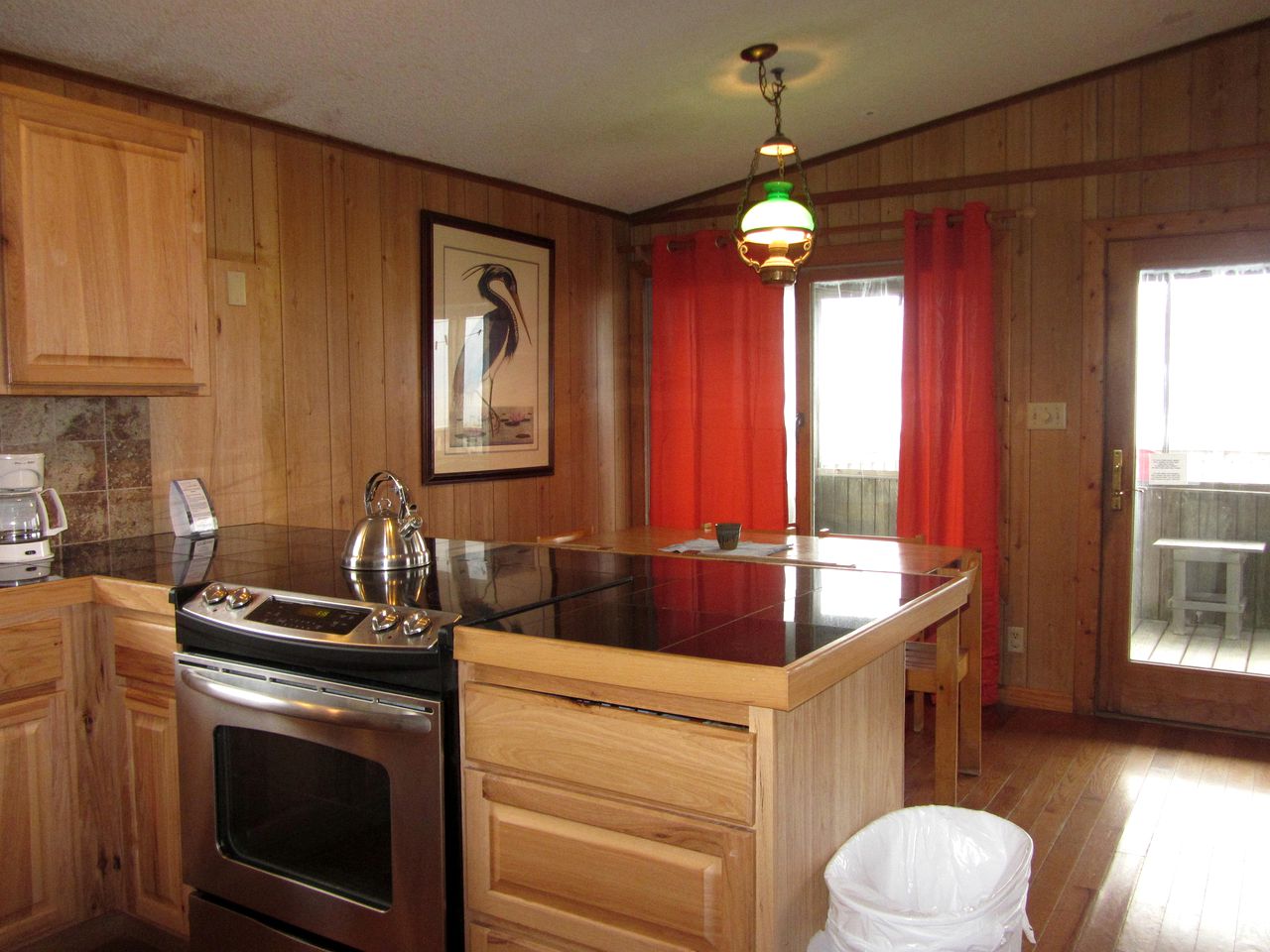 Pet Friendly Oceanfront Rental in Dare County, North Carolina