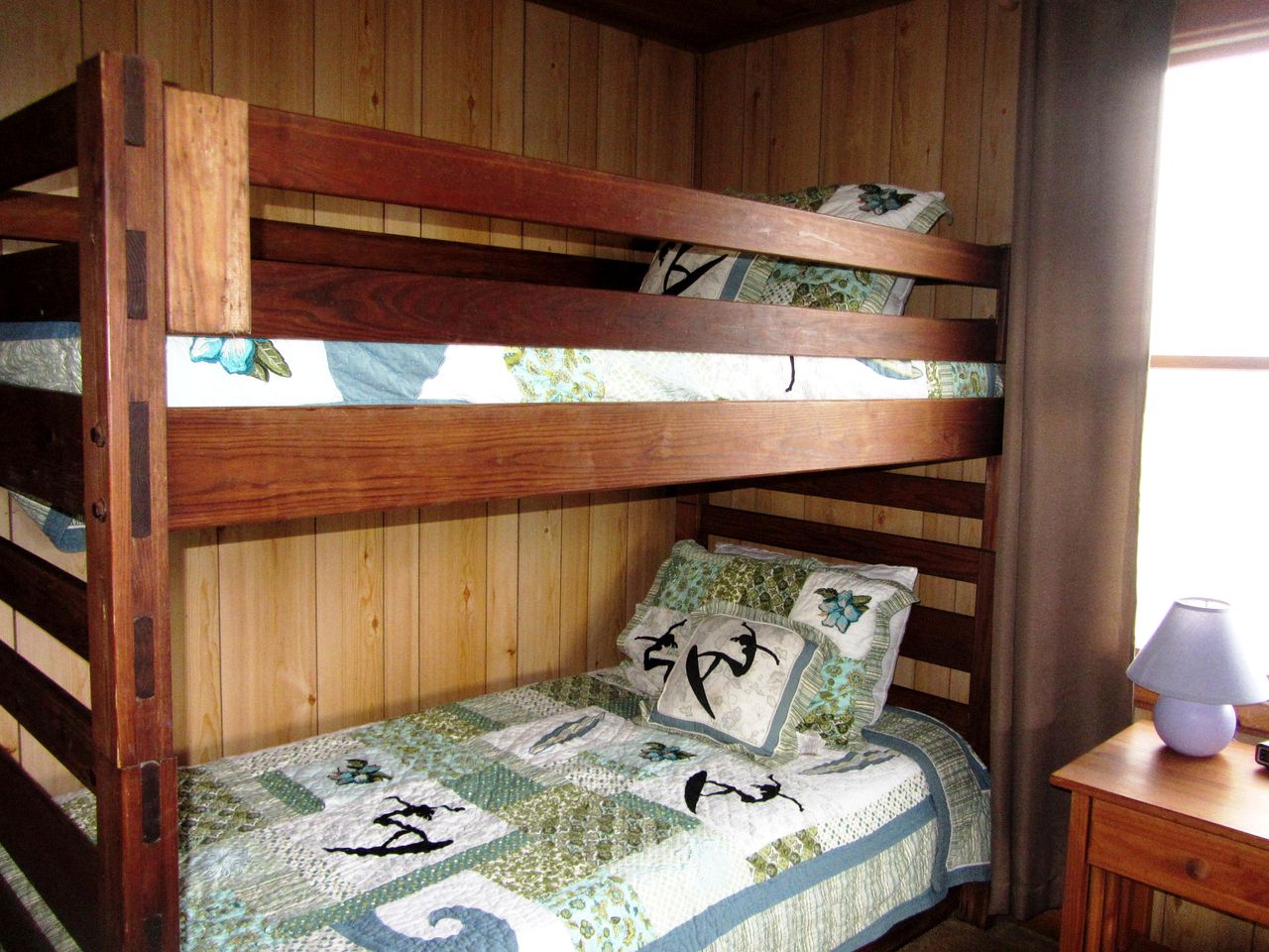 Pet Friendly Oceanfront Rental in Dare County, North Carolina