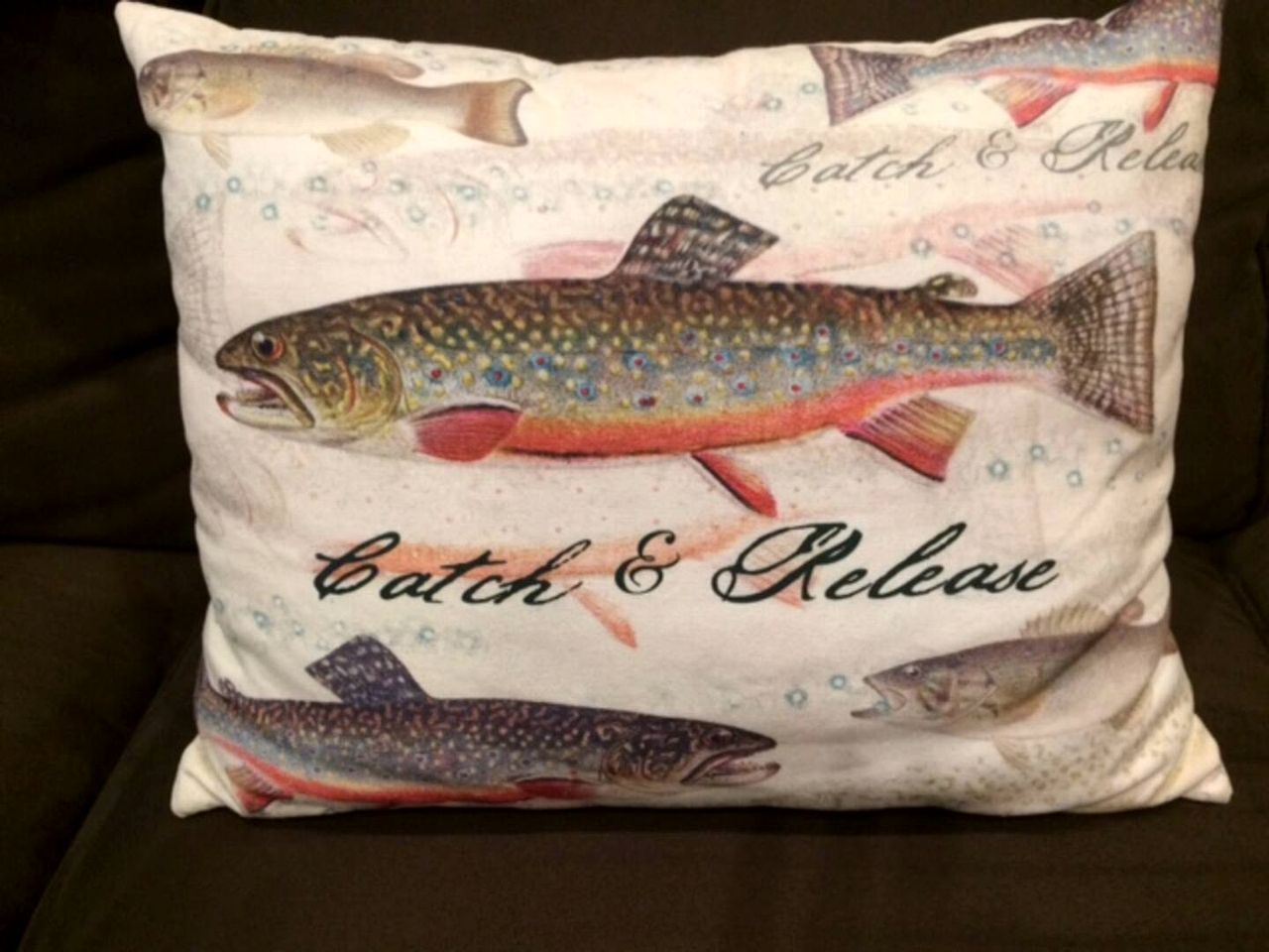 Cozy Three-Bedroom Cabin Near The Salmon River in Altmar, New York