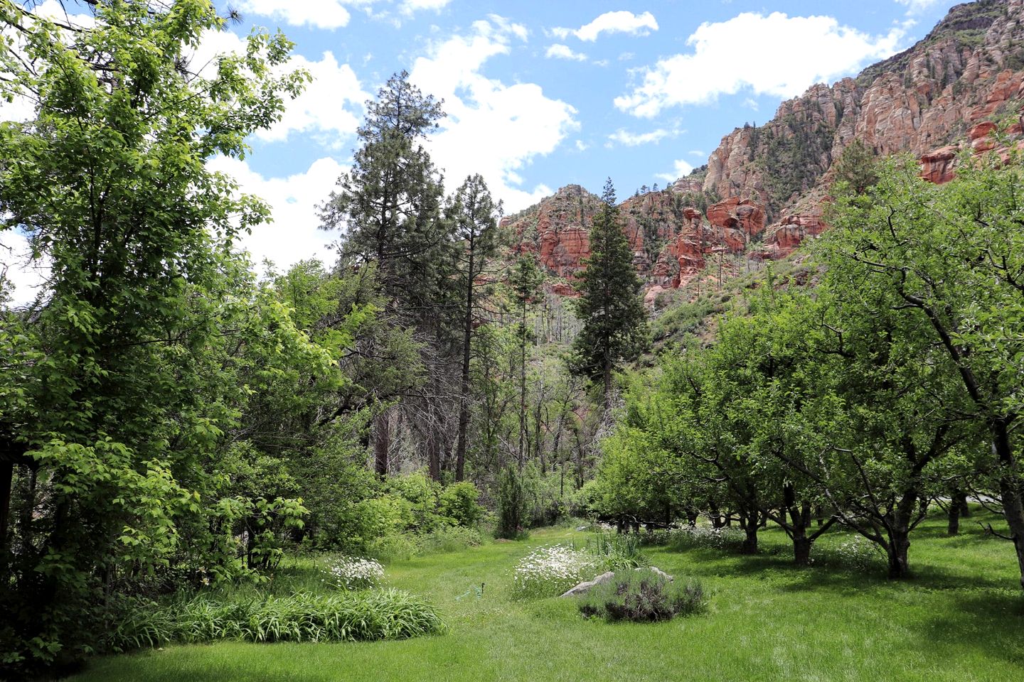Cozy Family-Friendly Log Cabin Rental with Breakfast Included in Sedona