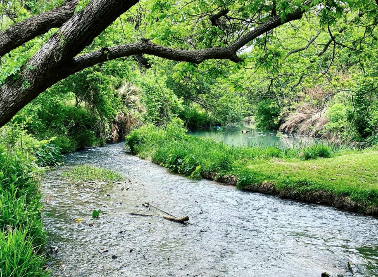 Alluring Tented Cabin on Geronimo Creek - Perfect Glamping Vacation Destination in Seguin, Texas