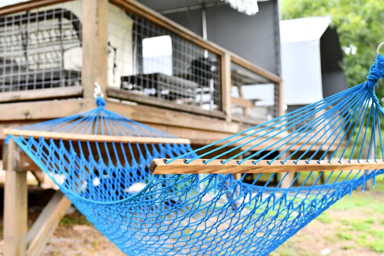 Vacation Rentals (United States of America, --, --)