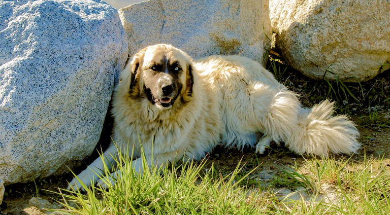 Vacation Rentals (United States of America, Sandpoint, Idaho)