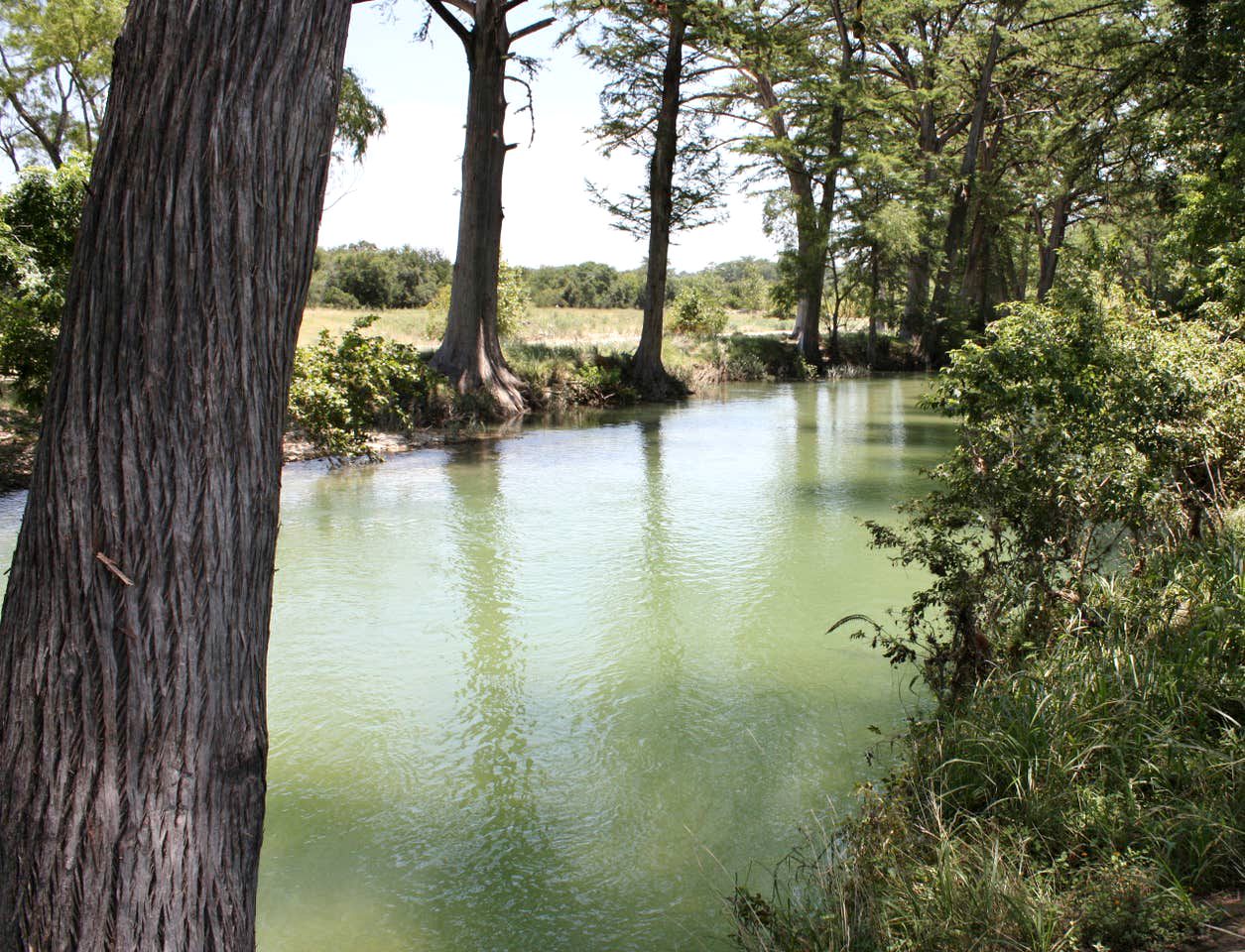 Peaceful Bandera Accommodation Perfect for Texas Hill Country Getaways