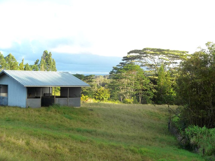 Cottages (Hilo, Hawaii, United States)