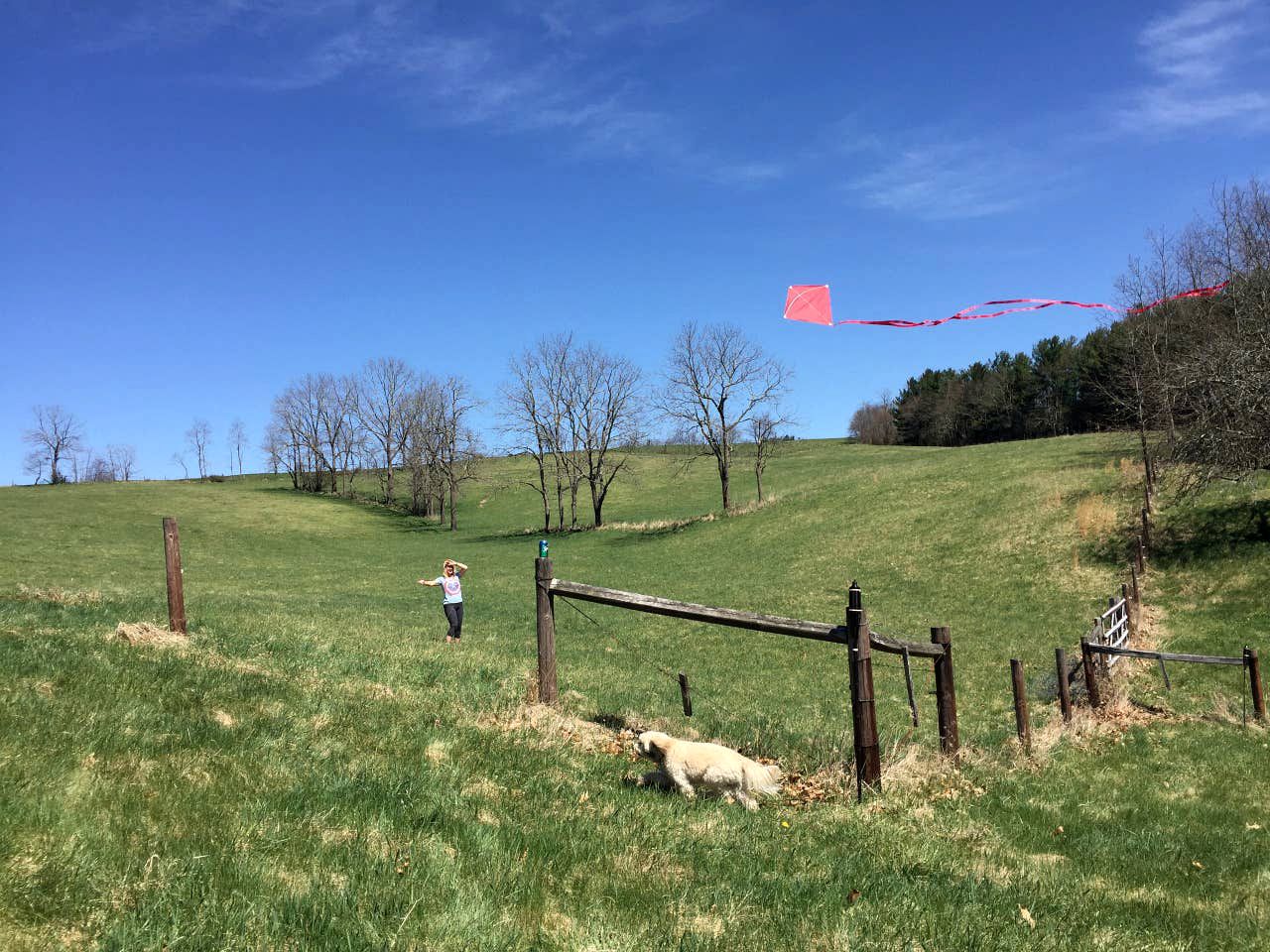Floyd Retreat Romantic Getaways in Virginia Glamping Hub